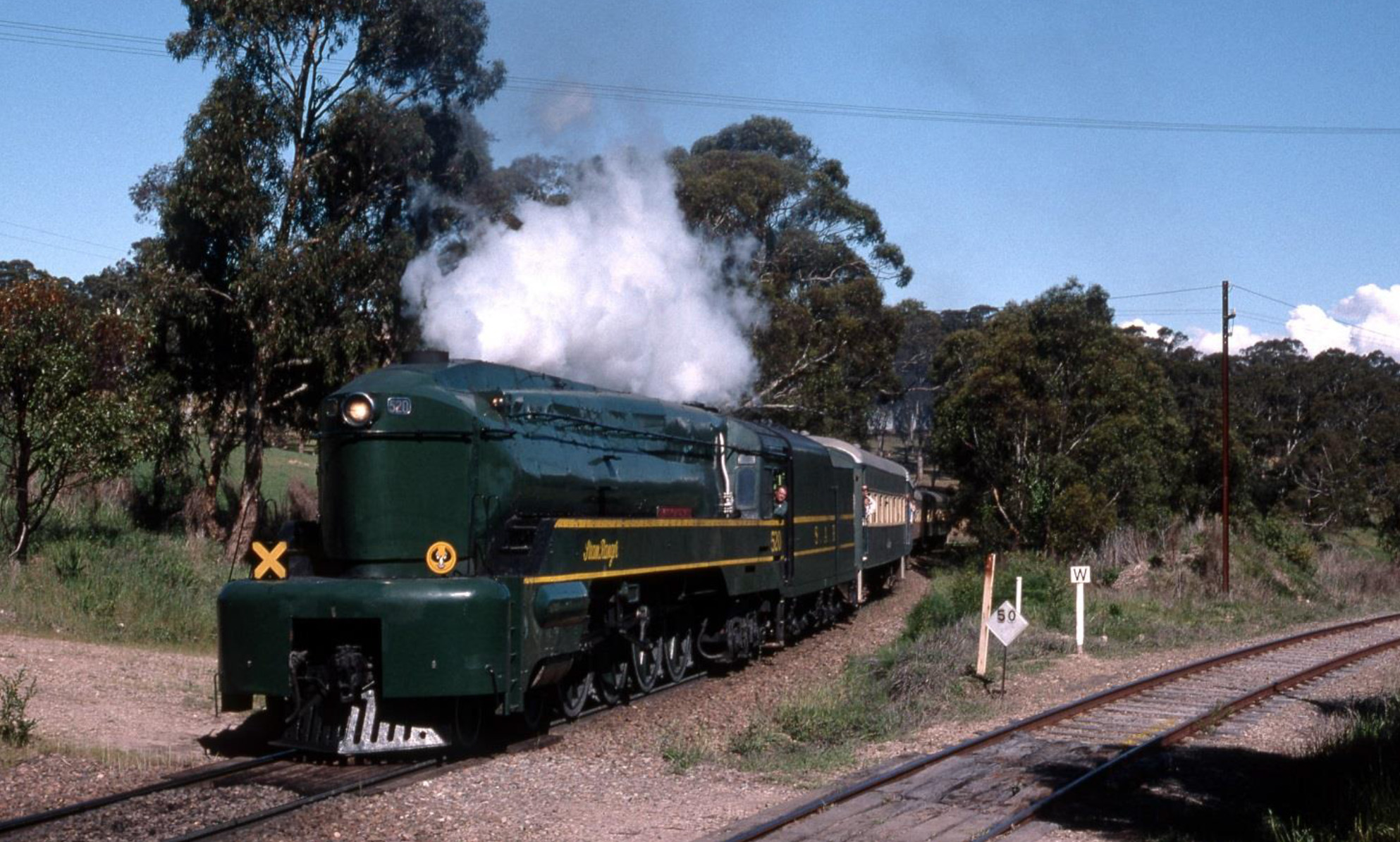 New steam railway фото 32